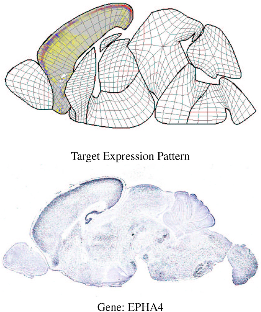 Figure 13