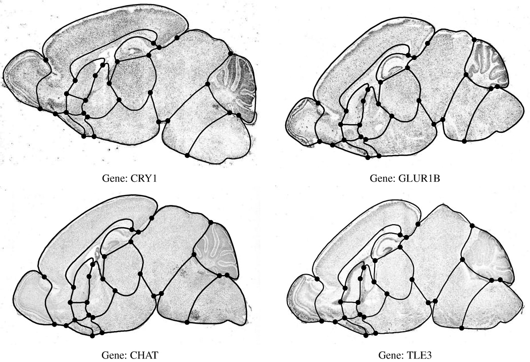 Figure 11