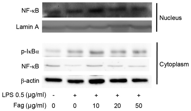 Figure 9.