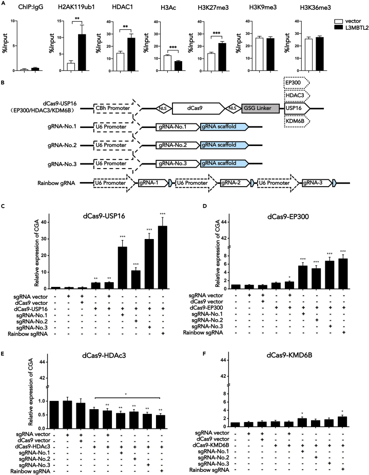 Figure 3