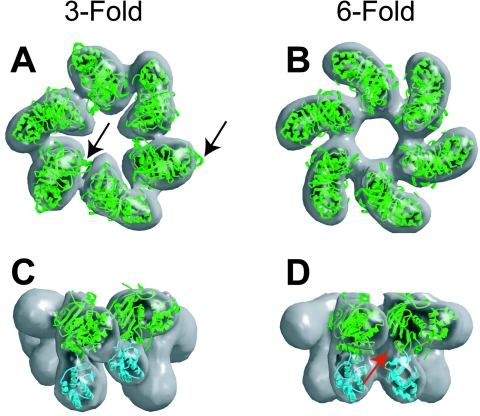 FIG. 13.