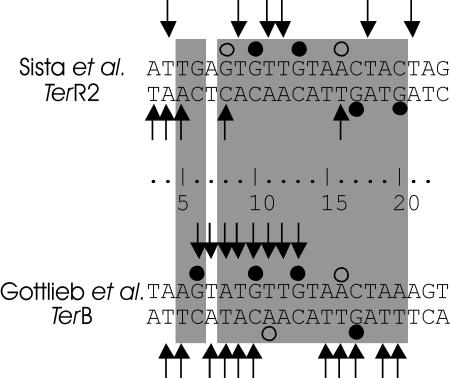 FIG. 9.