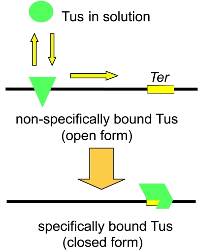 FIG. 11.