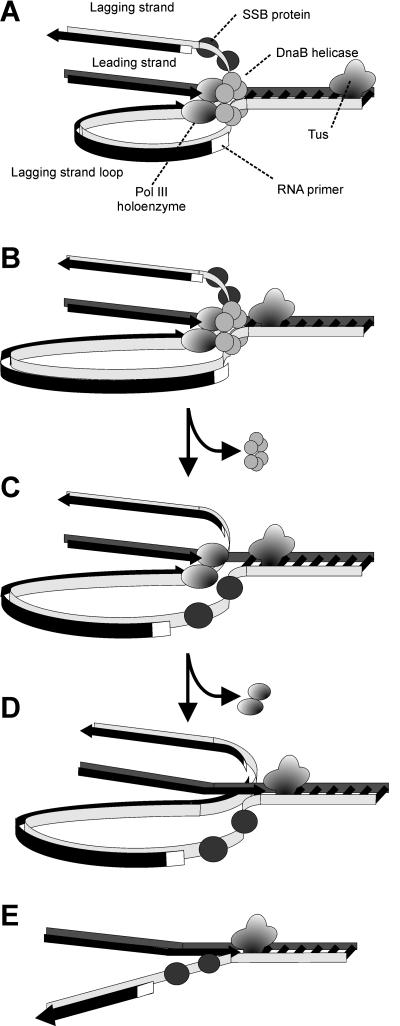 FIG. 5.