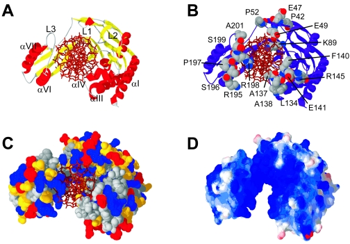 FIG. 10.