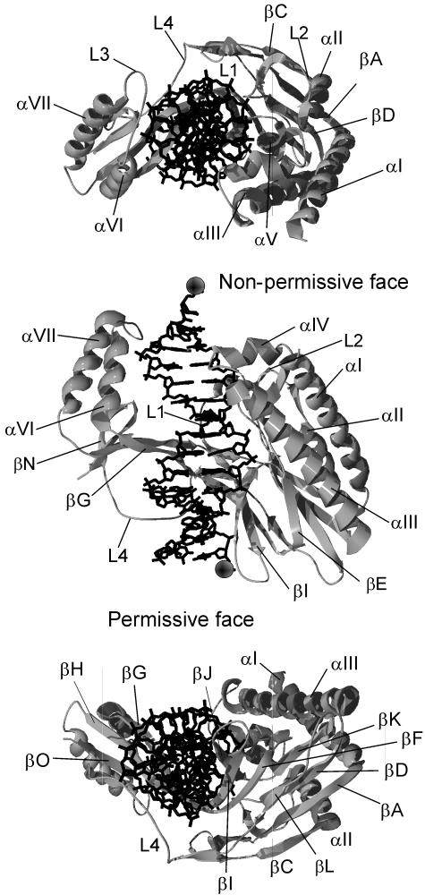 FIG. 6.