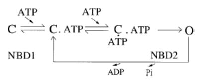 (SCHEME 2)