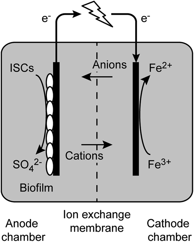 Fig. 1