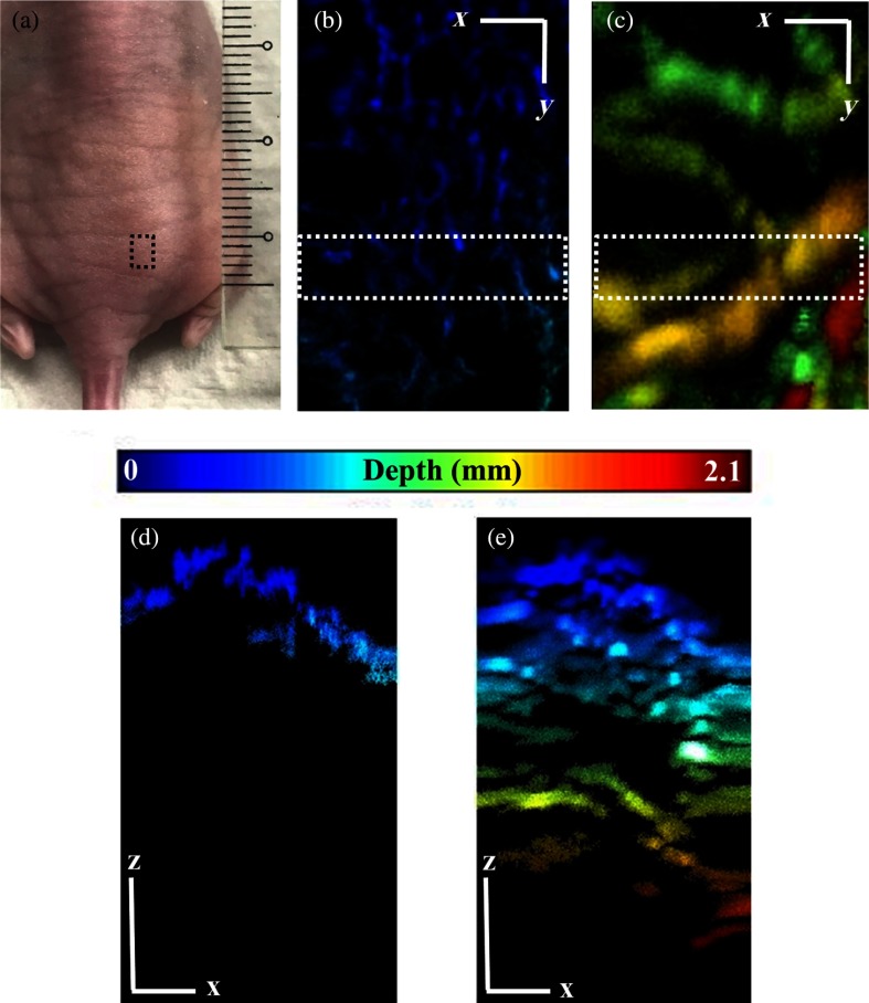 Fig. 4