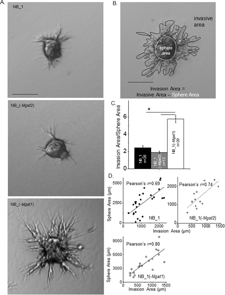 Fig 5