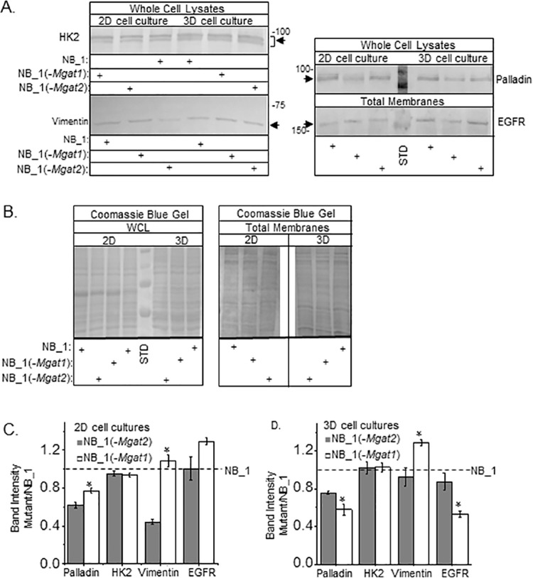 Fig 9