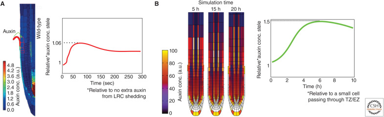 Figure 4.