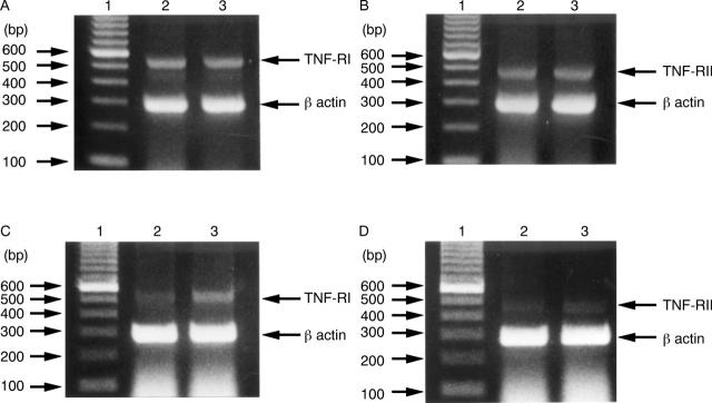 Figure 10  