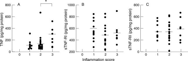 Figure 3  