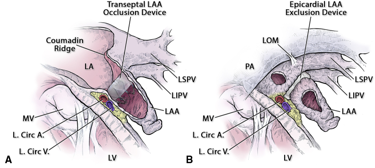 Figure 6