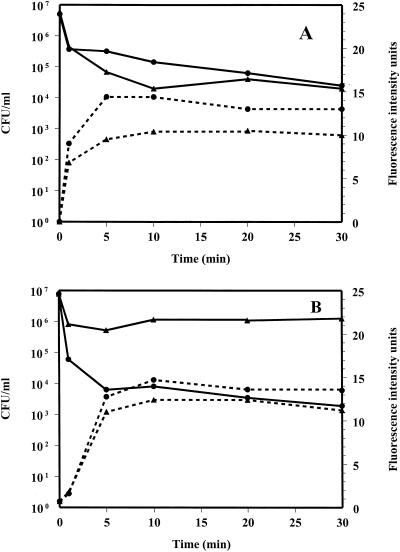 FIG. 3