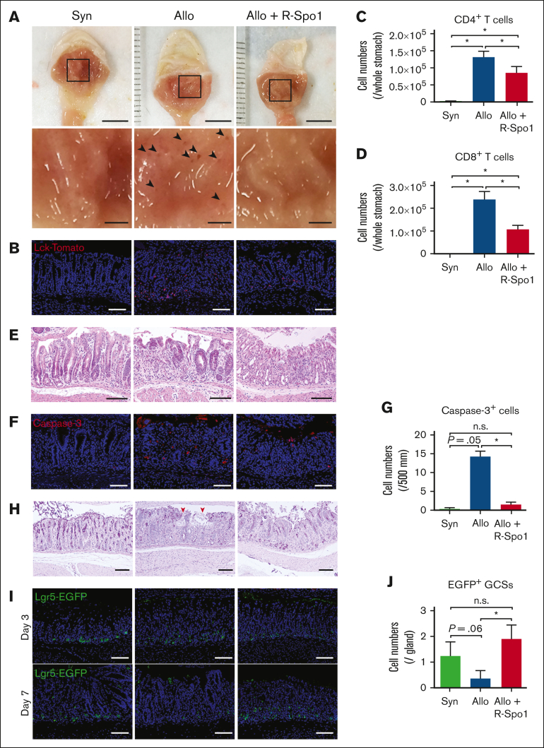 Figure 2.