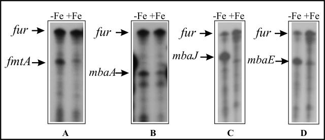 FIG. 5.