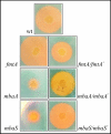 FIG. 3.