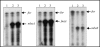 FIG. 8.