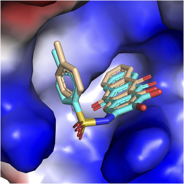 FIGURE 6