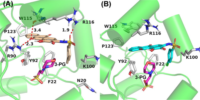 FIGURE 9