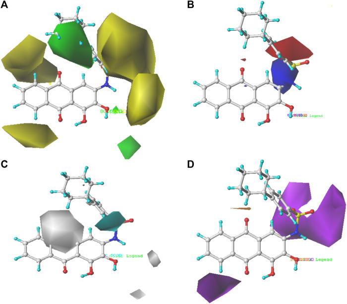 FIGURE 4