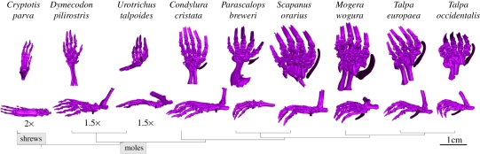 Figure 1.