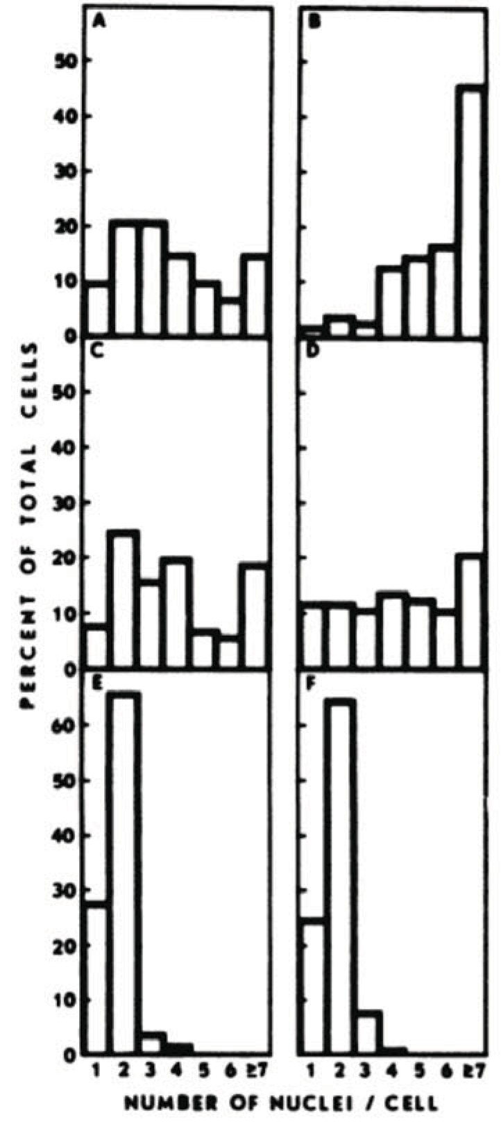 Fig. (6)