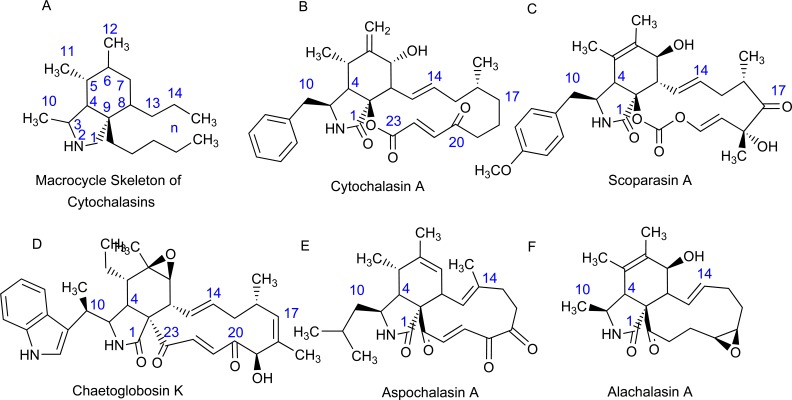 Fig. (1)