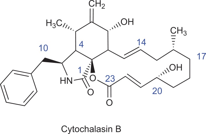 Fig. (5)