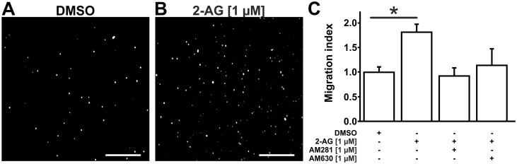 Fig 5