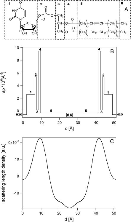 FIGURE 4