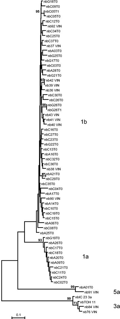 FIG.1.