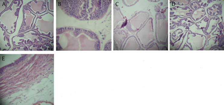 Fig. 4