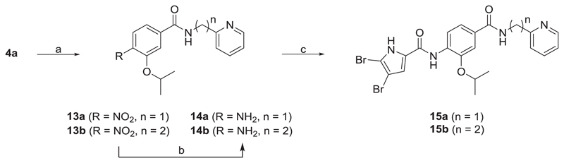 Scheme 3