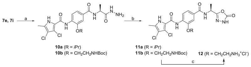 Scheme 2