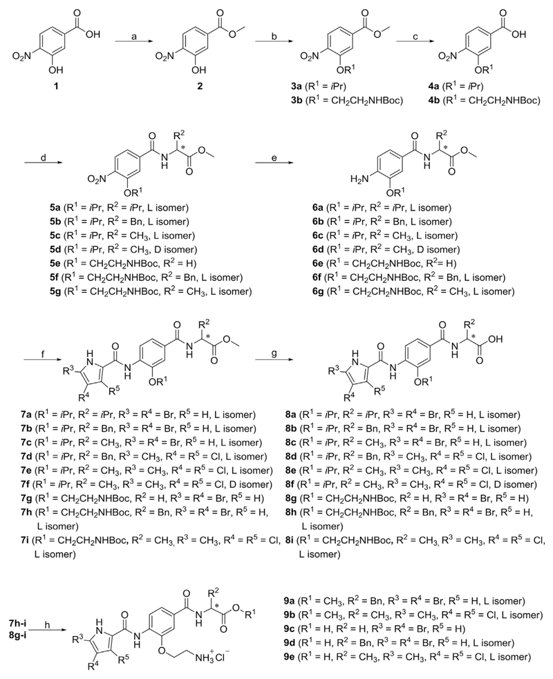 Scheme 1