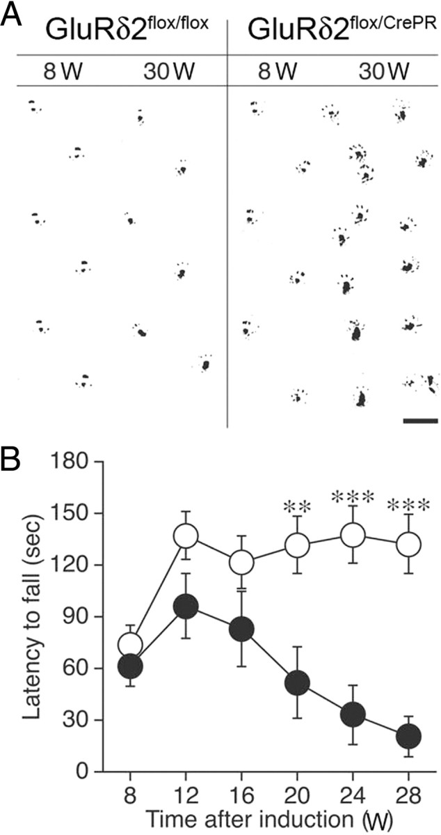 Figure 9.