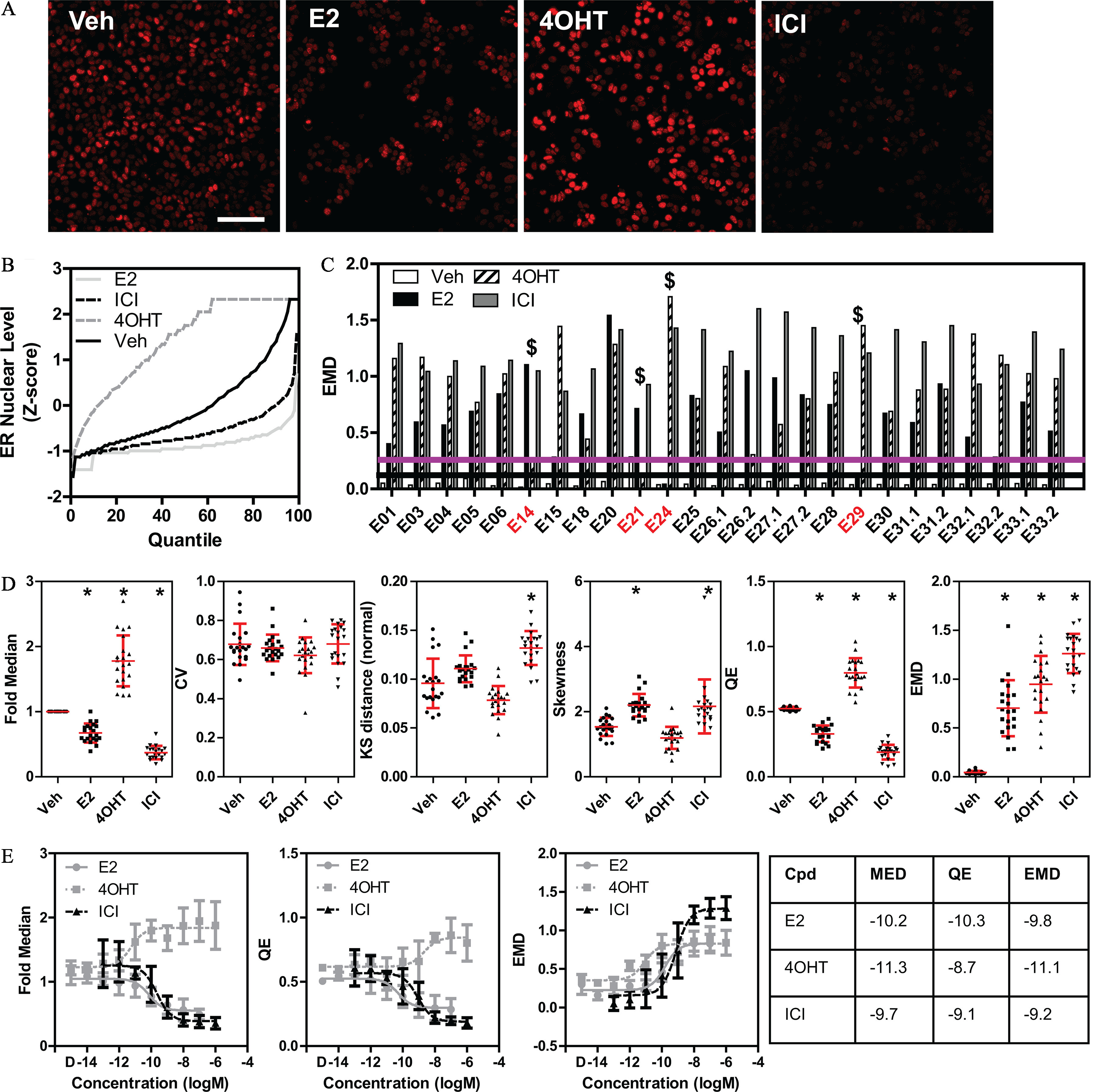 Figure 2A is a set of four images of Estrogen Receptor immunolabeling of M C F-7 cells which are treated for 24 hours with Dimethyl sulfoxide (Veh), 17 lowercase beta estradiol (E 2, 10 nanomolar), 4-hydroxytamoxifen (4 O H T, 1 micromolar), or Fulvestrant (I C I, 1 micromolar). Figure 2B is a line graph, plotting Estrogen Receptor Nuclear level (uppercase z-score), ranging from negative 2 to 3 in unit increments (y-axis) across Quantile, ranging from 0 to 100 in increments of 20 (x-axis) for 17 lowercase beta estradiol, Fulvestrant, 4-hydroxytamoxifen, and Dimethyl sulfoxide. Figure 2C is a clustered bar graph, plotting Earth Mover’s Distance, ranging from 0.0 to 2.0 in increments of 0.5 (y-axis) across uppercase e 01, uppercase e 03, uppercase e 04, uppercase e 05, uppercase e 06, uppercase e 14, uppercase e 15, uppercase e 18, uppercase e 20, uppercase e 21, uppercase e 24, uppercase e 25, uppercase e 26.1, uppercase e 26.2, uppercase e 27.1, uppercase e 27.2, uppercase e 28, uppercase e 29, uppercase e 30, uppercase e 31.1, uppercase e 32.2, uppercase e 32.1, uppercase e 32.2, uppercase e 33.1, and uppercase e 33.2 (x-axis) for 17 lowercase beta estradiol, Fulvestrant, 4-hydroxytamoxifen, and Dimethyl sulfoxide. Figure 2D is a set of six dot graphs, plotting Fold Median, ranging from 0 to 3 in unit increments; Coefficient of Variation, ranging from 0.0 to 1.0 in increments of 0.2; Kolmogorov-Smirnov distance (normal), ranging from 0.00 to 0.20 in increments of 0.05; Skewness, ranging from 0 to 6 in increments of 2; Quadratic Entropy, ranging from 0.0 to 1.5 in increments of 0.5; and Earth Mover’s Distance, ranging from 0.0 to 2.0 in increments of 0.5 (y-axis) across Dimethyl sulfoxide, 17 lowercase beta estradiol, 4-hydroxytamoxifen, Fulvestrant (x-axis). Figure 2E is a set of three error bar graphs and tabular representation. The three error bar graphs, plotting Fold Median, ranging from 0 to 3 in unit increments; Quadratic Entropy, ranging from 0.0 to 1.5 in increments of 0.5; and Earth Mover’s Distance, ranging from 0.0 to 2.0 in increments of 0.5 (y-axis) across concentration (log of molar), ranging from Day negative 14 to negative 4 in decrements of 2 (x-axis) for Dimethyl sulfoxide, 4-hydroxytamoxifen, and Fulvestrant. The tabular representation has three rows and four columns, namely, compound; fold median of Dimethyl sulfoxide control; quadratic entropy; and Earth Mover’s Distance. Row 1: 17 lowercase beta estradiol, negative 10.2, negative 10.3, and negative 9.8. Row 2: 4-hydroxytamoxifen, negative 11.3, negative 8.7, and negative 11.1. Row 3: Fulvestrant, negative 9.7, negative 9.1, and negative 9.2.