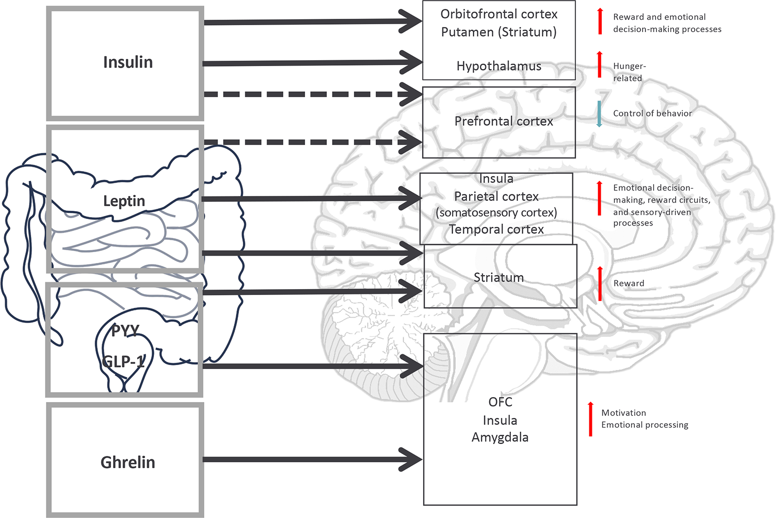 Figure 3: