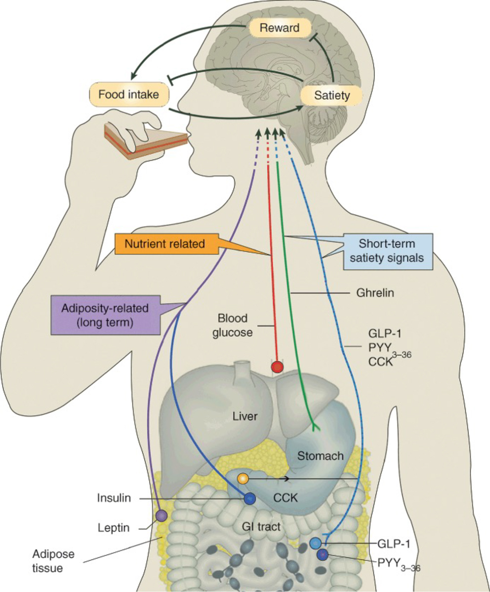 Figure 4: