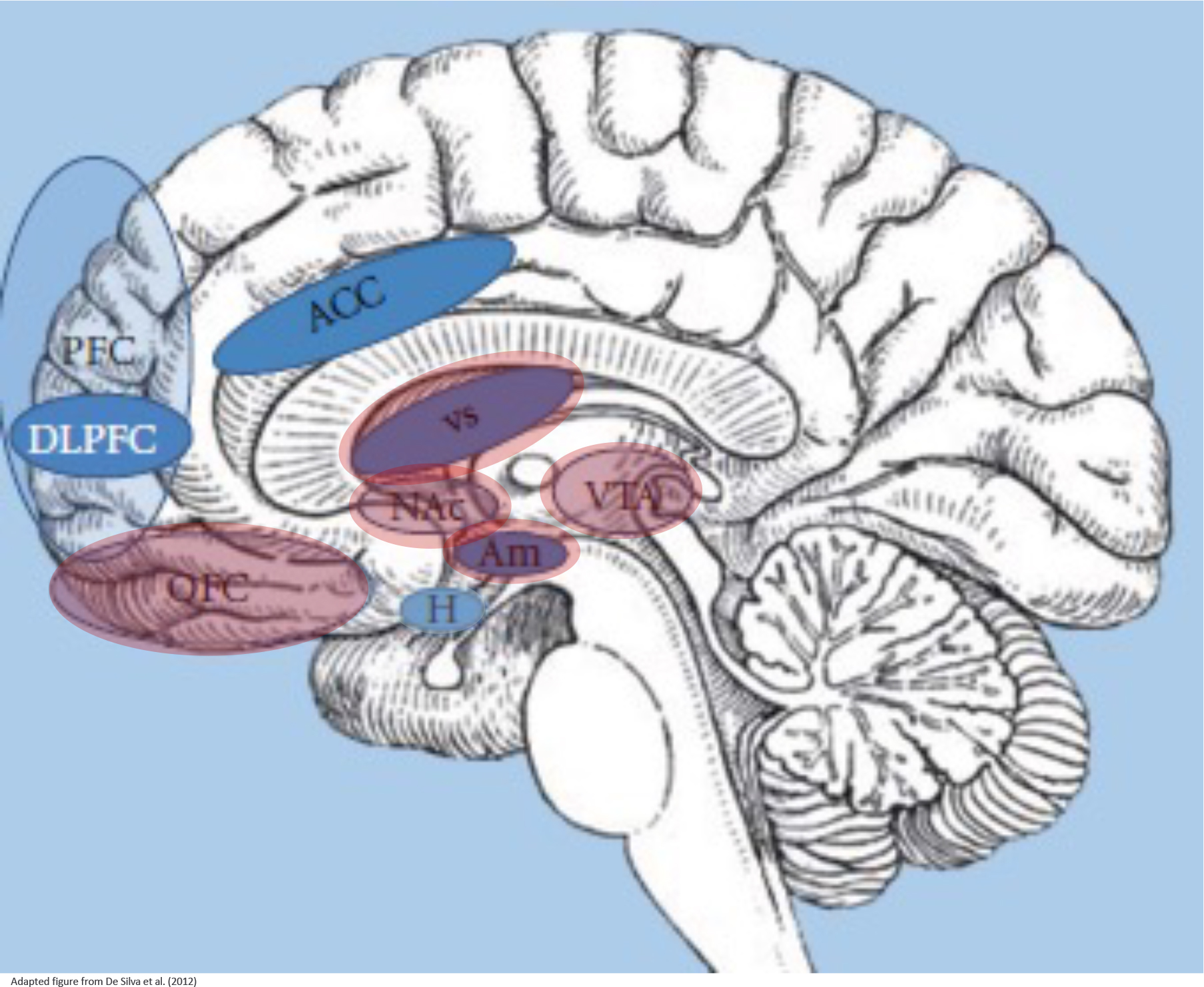 Figure 5: