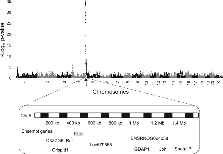 Fig. 4.