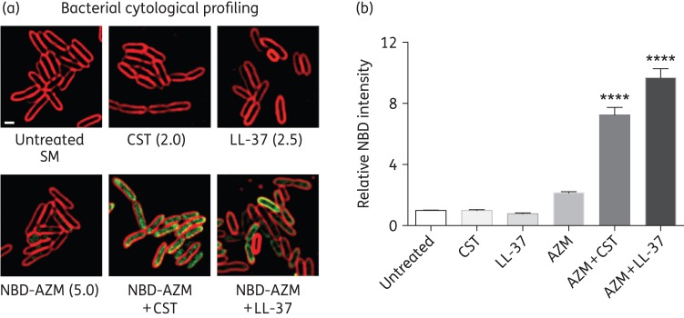 Figure 2.