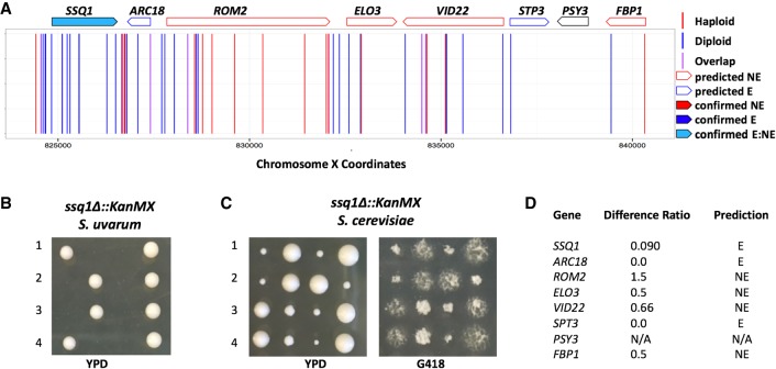 Figure 4.