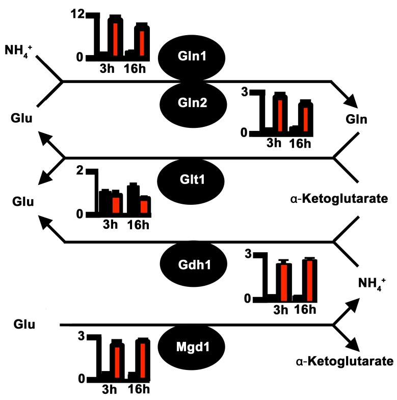 Fig 2