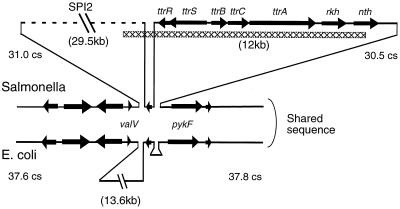 FIG. 7