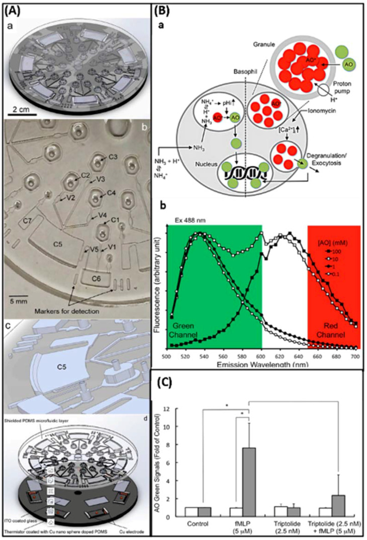 Figure 18