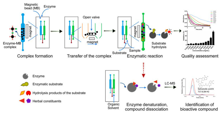 Figure 12